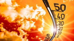 ООН: Световните продоволствени системи са "доведени до ръба" от екстремните жеги 