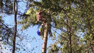 Отряд на ПСС спаси парапланерист, заплел се в дърво (снимки)
