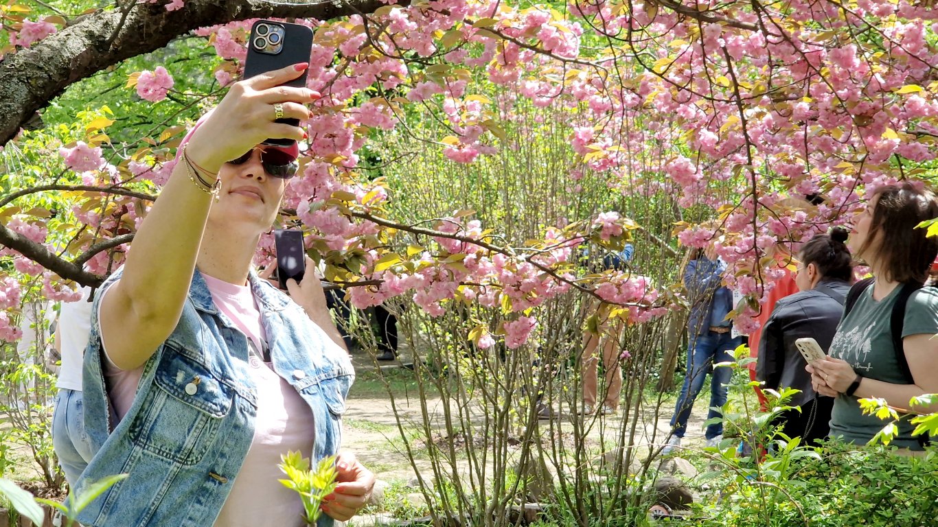 Най-голямата японска градина в Европа е в Букурещ (снимки)
