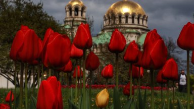 Прогноза за времето от НИМХ: Утре - студено за април, с повсеместни валежи