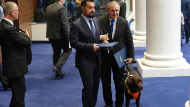 Лабрадорът Роувър ще бъде 241-вият "депутат" (снимки)