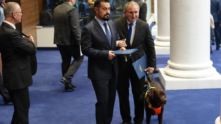 Лабрадорът Роувър ще бъде 241-вият "депутат" (снимки)