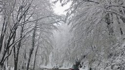 Сняг посред лято заваля в Румъния (снимки)