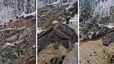 Цяла борова гора се свлича след пропадането на пътя за Пампорово, може да падне и сграда (видео)