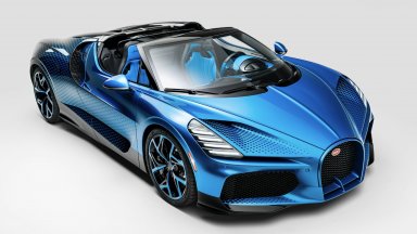 Bugatti показа уникалния Mistral "Fly Bug" с вдъхновение от природата