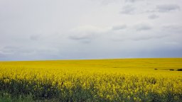НИМХ: Застудяване, гръмотевични бури и градушки, неустойчиво в следващите дни
