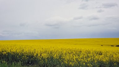 НИМХ: Застудяване, гръмотевични бури и градушки, неустойчиво в следващите дни