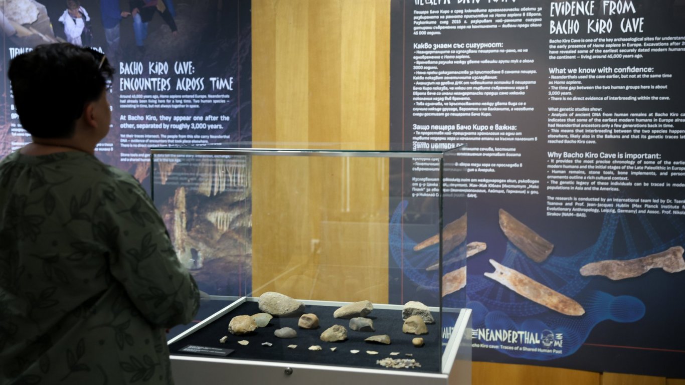 Националният исторически музей представя изложба за неандерталците и ранните модерни хора