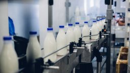 Млекопроизводители: Заповед на БАХБ за проверка на вносното мляко ще оскъпи продуктите
