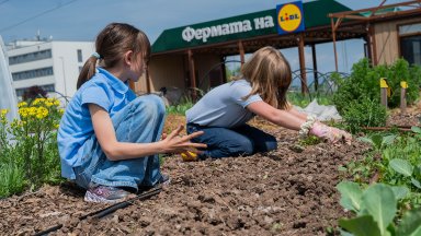 Безплатни ученически посещения във „Фермата на Lidl“