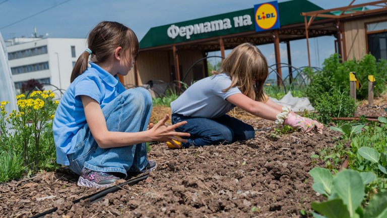 Безплатни ученически посещения във „Фермата на Lidl“
