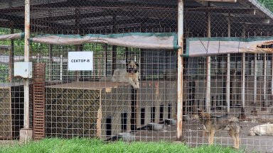 Нова ветеринарна амбулатория заработи в приюта за кучета в Горни Богров (снимки)