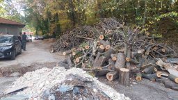 Инвеститорите от "КУБ" твърдят, че парцелите в Баба Алино не са гора