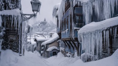 Псевдоприродата ще бъде капсулирана в софийска галерия днес