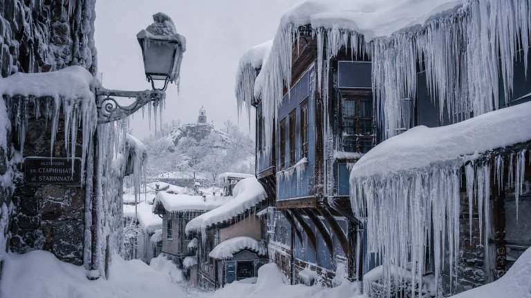 Псевдоприродата ще бъде капсулирана в софийска галерия днес