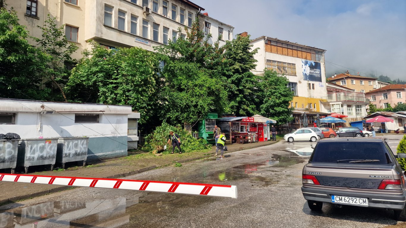 Мълния повали дърво на автогара в Смолян