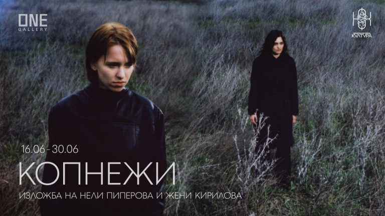 Визуален анализ на вътрешния свят на човека в "Копнежи" на Нели Пиперова и Жени Кирилова