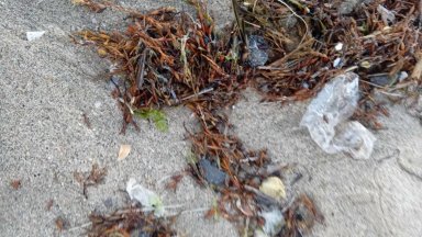 Мазутни топчета заляха плажовете на морето, МОСВ разпореди спешно почистване (снимки)