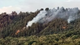 Повишен е рискът от горски пожари, предупредиха от WWF България
