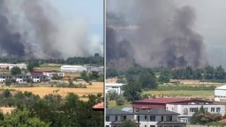 Голям пожар пламна край Околовръстното шосе на Пловдив (видео)