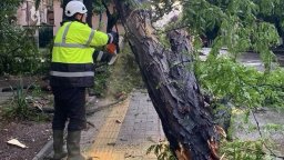 Започва възстановяването на щетите от бурята в София