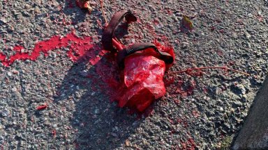 Русия съобщи за опит на дронове да залеят с червена боя посолството й в Столкохм (снимки)