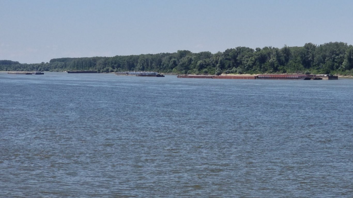 11-годишно дете загина при удавяне в река Дунав край Козлодуй
