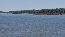 11-годишно дете се удави в река Дунав в Козлодуй