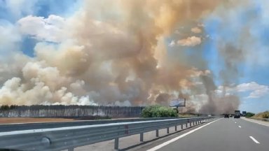Пожар бушува край АМ "Струма", вдигнаха въздушната линейка заради обгорял (видео/снимки)