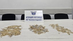 Турски гражданин се опита да внесе нелегално 7,2 кг златни накити през "Капитан Андреево" 