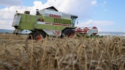 Световните цени на пшеницата скочиха до тригодишен максимум