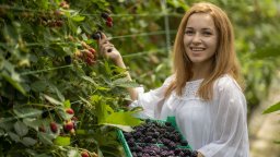 Партньорството с Kaufland промени бъдещето на български производител