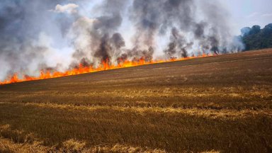 Голям пожар избухна край Стара Загора, борят се да спасят къщи във вилна зона (видео)