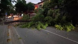 Мощна буря удари и Югозапада: Пожар, свлачище, активираха и BG-Alert (снимки/видео)
