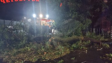 Стотици сигнали до пожарната след снощните бури в страната, потоп заля и Пловдив (снимки/видео)