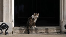 Британските премиери се сменят на "Даунинг стрийт" 10, но котаракът Лари остава