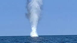 Противоминната военноморска група в Черно море унищожи дрейфащ дрон (снимки)