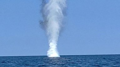 Противоминната военноморска група в Черно море унищожи дрейфащ дрон (снимки)