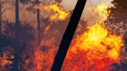 Заплахата от горски пожари се придвижва на изток, заплашвайки Италия и Гърция