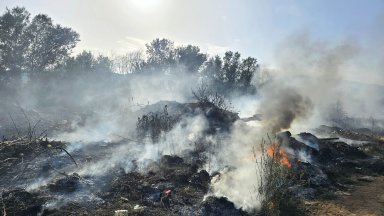 15 декара треви и храсти изгоряха след умишлен пожар край Петрич