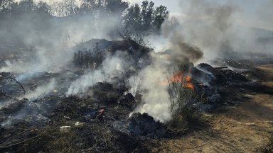 Голям пожар в Петричко, вятърът затруднява гасенето, багер прави просеки за лозята (снимки)