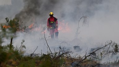 Огнена стихия унищожава прочутите лозя край Бордо, евакуирани са над 200 000 души (снимки)