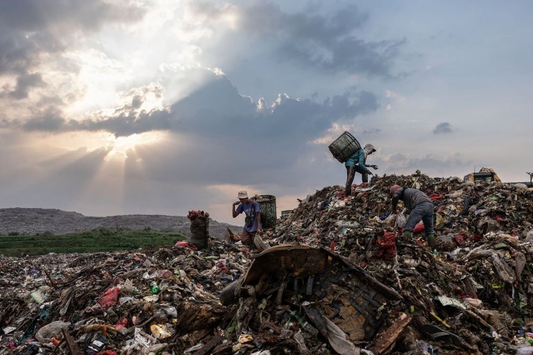 Plastic pollution
