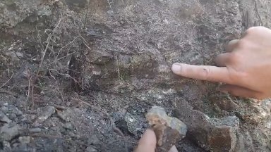 Намериха изцяло запазена кост от динозавър край Трън