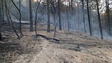 Локализиран е пожарът до брезовското село Стрелци
