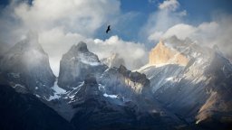 Чудото в Андите: Невероятната история на едно невъзможно оцеляване
