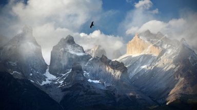 Чудото в Андите: Невероятната история на едно невъзможно оцеляване