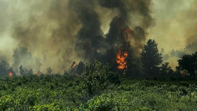 Пожар избухна край АМ "Тракия", полицаи регулират движението (снимки)