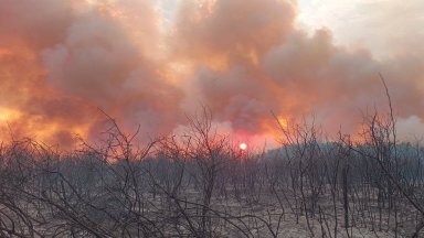 Огнен ад край Първомай, продължава борбата на 11 екипа пожарникари (снимки)