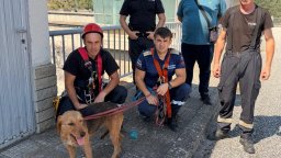 Пожарникари рискуваха живота си, за да спасят бедстващо куче в язовир "Кърджали" (снимки)